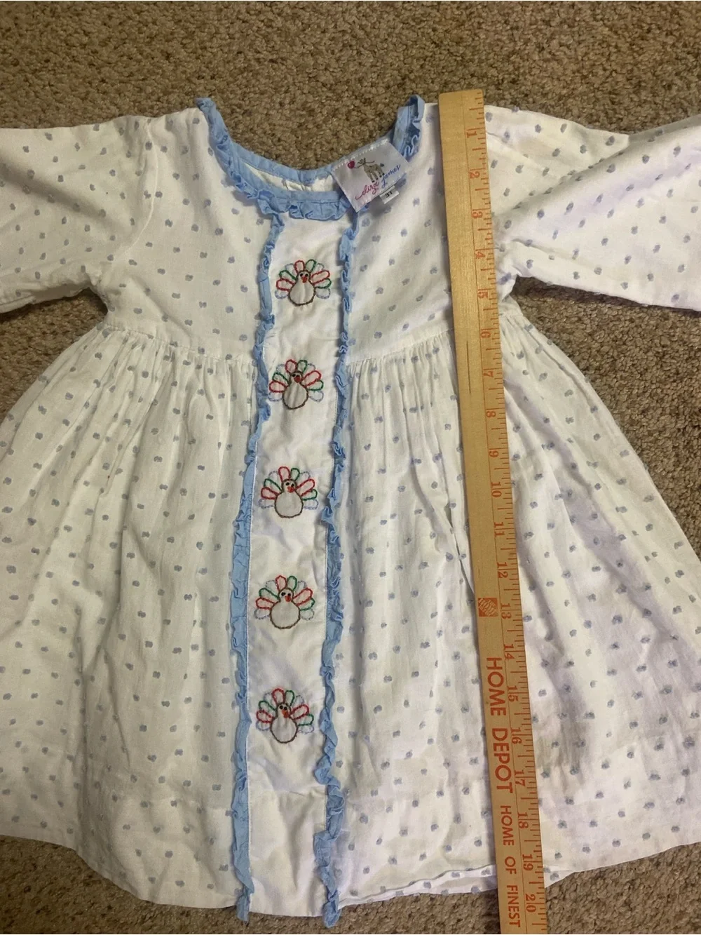 Eliza James Thanksgiving dress embroidered turkey swiss dots 3T girls Toddler